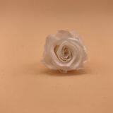 Timeless Moments Flowers Preservation for Anniversary Decoration thumbnail-1