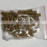 ISF2.8 ISF3.8 Genuine Diesel Engine Spare Part Piston Cooling Nozzle 3937214