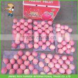Best Price Bulk Yantai Red Fuji Apple Fruit thumbnail-1