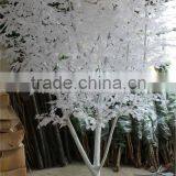 Factory New Products Artificial Ficus Tree for Decoration on Sale thumbnail-3