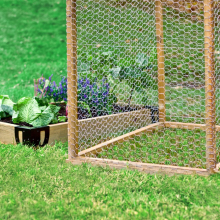 Cerca de alambre de púas galvanizada para gallinas enrollada con tamaño de malla de 2 pulgadas thumbnail-4