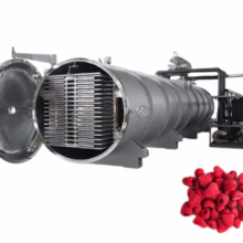 Intelligent Upgrade Freeze Vacuum Drying Machine thumbnail-2