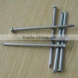 Steel Concrete Nail