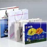 Hotel Promotion Paper Bags thumbnail-1