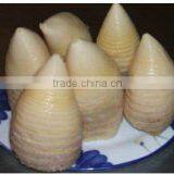 2016 Crop Canned Water Bamboo Shoot