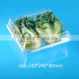 high quanlity and good price PET plastic transparent VEGETABLE AND FRUIT packaging box with lid