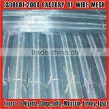Big Factory Experience in Galvanized Mosquito Netting
