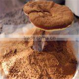 Hot Sale GMP Reishi Mushroom Extract