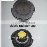 Auto parts radiator cap