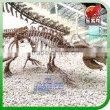 The Dinosaur Skeleton in the Museum thumbnail-1