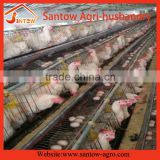 Automatic chicken egg layer cages poultry cage poultry battery cages for Zambia farm