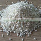 GLUTINOUS RICE/STICKY RICE 5%/10% BROKEN