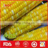 Frozen Organic Sweet Corn From China thumbnail-2