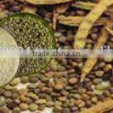 Guar Gum Manufacturers thumbnail-4