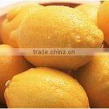 Spray Dried Powder of Lemon Powder thumbnail-2