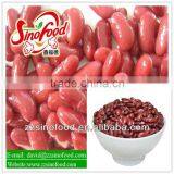400g*24 Canned Red Kidney Beans in Brine thumbnail-1