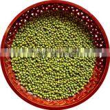 JSX Great Price Green Gram Great AD Drying Green Mung Bean thumbnail-5