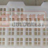 GOLDENEST Plastic Floor for Poultry/Broiler/Breeder thumbnail-6