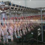 Chicken Abattoir House Slaughter Equipment thumbnail-6
