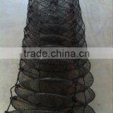 Fish Farming thumbnail-1
