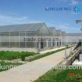 Venlo Polycarbonate Sheet Greenhouse for Sale thumbnail-3