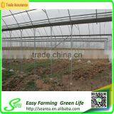 Economical Plastic Green House for Agriculture thumbnail-3