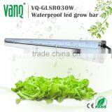 730nm Far Red Vanq Led Grow Lights T8 Tube 20w Led Grow Tube thumbnail-2