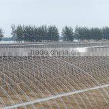 Low Cost Used Greenhouse Frames for Sale thumbnail-3