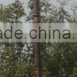 Antique Double Arm Street Lighting Pole Price thumbnail-3