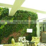 2015 Hot Selling Good Quality Artificial Plant Wall Artificial Fake Wall Hang Plant for Indoor and Outdoor Decoration thumbnail-1