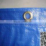 Blue Color Heavy Duty Waterproof pe Tarpaulin for Sale thumbnail-4