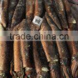 Frozen Whole Round Squid Illex Squid thumbnail-1