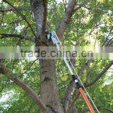 Aluminum Telescopic Pole Pruner With Saw for Tall Tree Pruning thumbnail-4