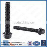 SUPPLY HOT QUANLITY DIN6921 TITANIUM HEXAGON FLANGE BOLTS thumbnail-1