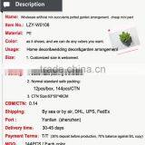 Wholesale Artificial Min Succulents Potted Garden Arrangement Cheap Mini Plant thumbnail-3