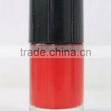 READY STOCK Nail Polish Bottle ,Cap,Brush Sets India thumbnail-4