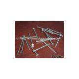 Polish Iron Nail thumbnail-1