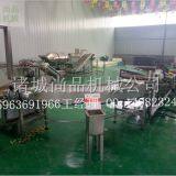 Full Automatic Fried Potato Chips Production Line / French Fries Making Machine thumbnail-5
