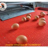 South Africa Poultry Farm Equipment - Battery Chicken Cage & Layer Cage & Chicken Coop & Laying Hen Coop & Laying Hen Cage in Chicken Farm