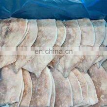 Available Good Price Frozen Squid Fillet 100g Todarodes Squid
