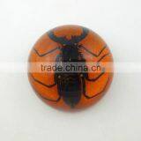 2016 New Business Particularly Paperweight With Real Insect Spide thumbnail-4