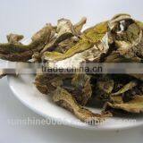 Wild Mushroom Factory Supplier for Imports thumbnail-5
