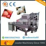 Leader Excellent Performance and Popular Litchi Skin Peeling Equipment thumbnail-2