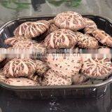 FDA Approval Custom-Made Different Types Plastic Frozen Food Tray Packaging thumbnail-2