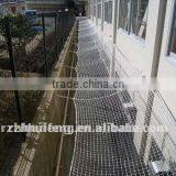 Scaffold Net thumbnail-1