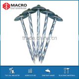 Rubber Washer Umbrella Roofing Nails