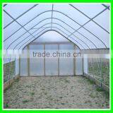 Leaf Minder Net , Anti Insect Net thumbnail-2