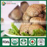 Shiitake Mushroom Frozen,Shiitake Mushroom Kit,Shiitake Production thumbnail-3