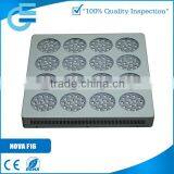 NOVA Series F16 LED Grow Light New Design Hydroponic Led Grow Light thumbnail-5