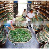 Suzhou Tengxiang Binmao Trade Co., Ltd. company overview - view 2 thumbnail